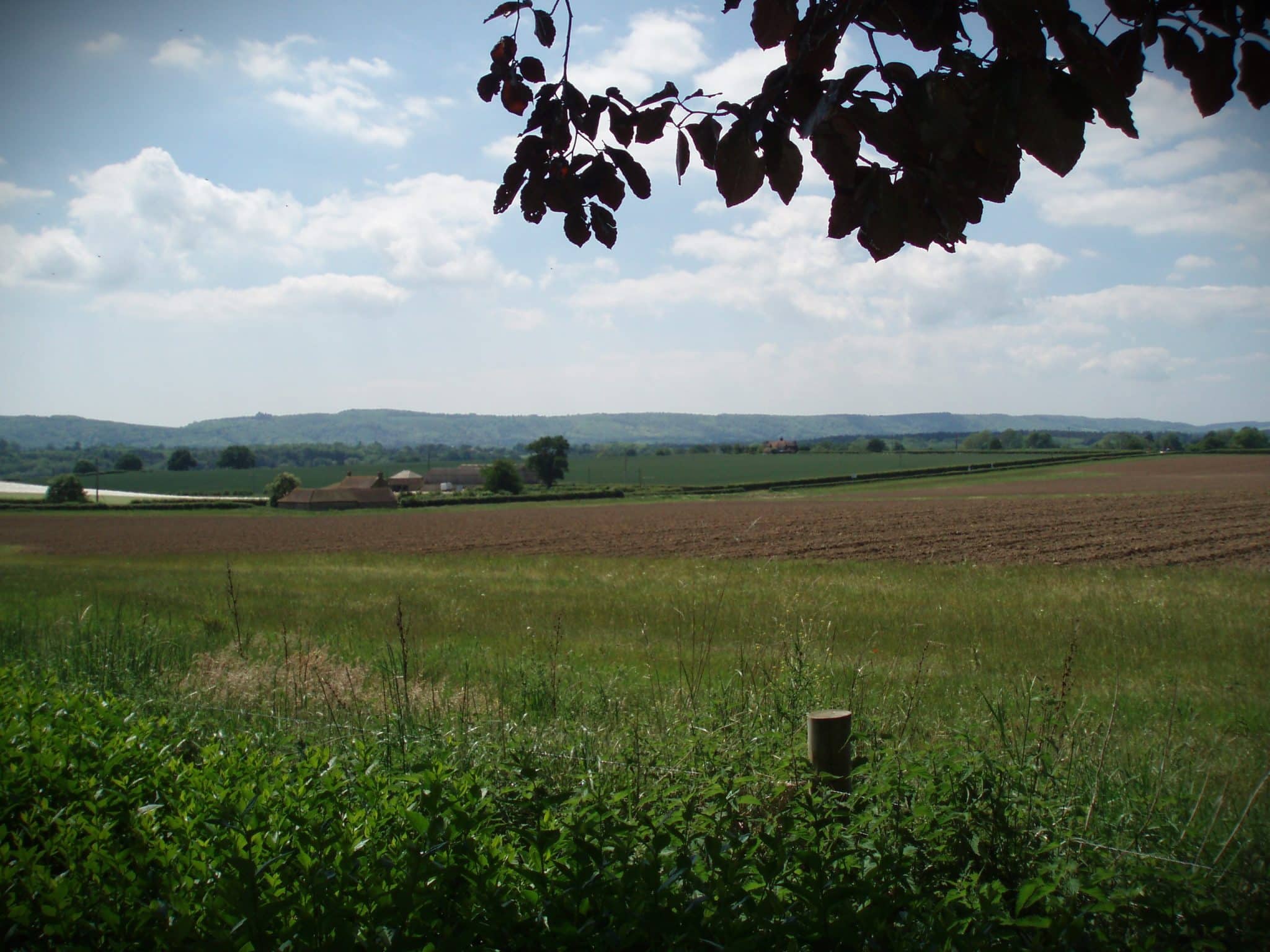 SCAIL Assessments for Agriculture